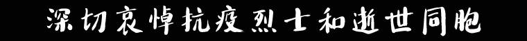 无损音乐