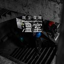 既定偏离 - 温室.flac